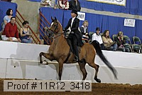 11r12_3418 proof