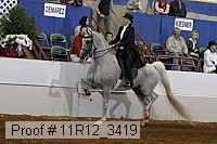 11r12_3419 proof