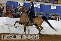 11r12_3421 proof