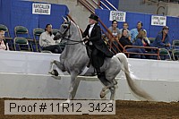 11r12_3423 proof