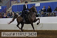 11r12_3424 proof