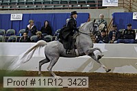 11r12_3428 proof