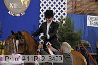 11r12_3429 proof