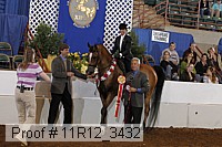 11r12_3432 proof