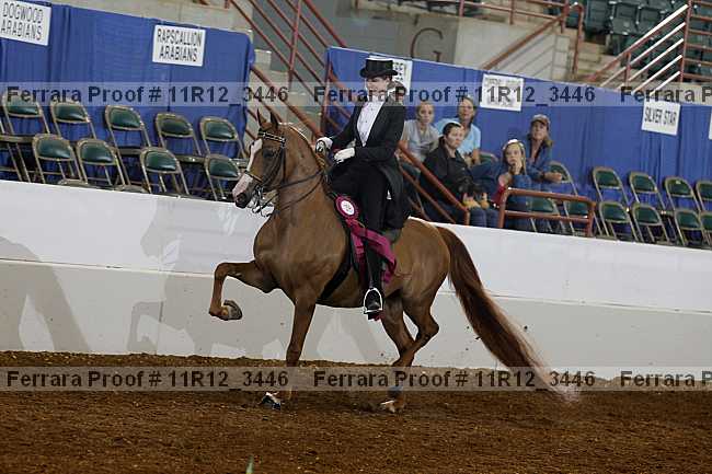 Proof 11r12_3446