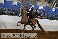 11r12_3446 proof