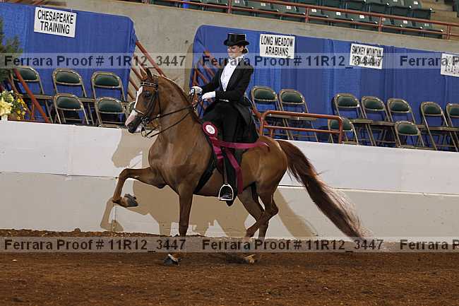 Proof 11r12_3447