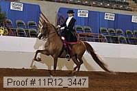 11r12_3447 proof