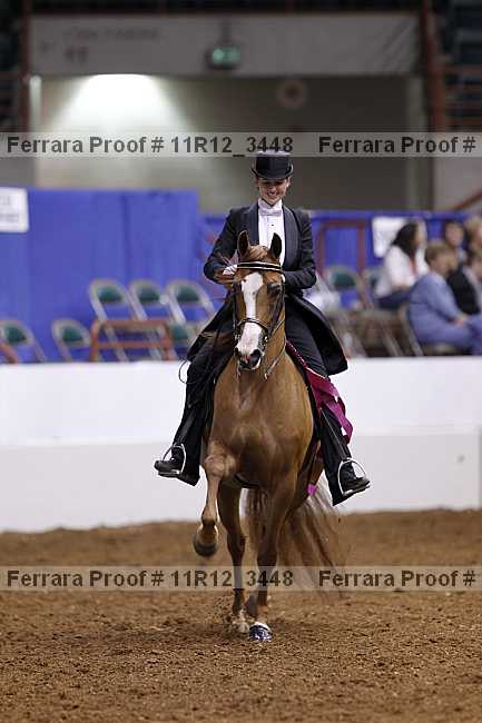 Proof 11r12_3448