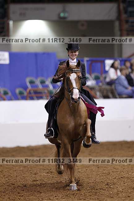 Proof 11r12_3449