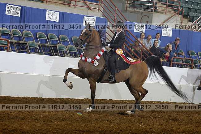Proof 11r12_3450