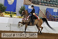 11r12_3451 proof