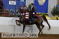 11r12_3456 proof