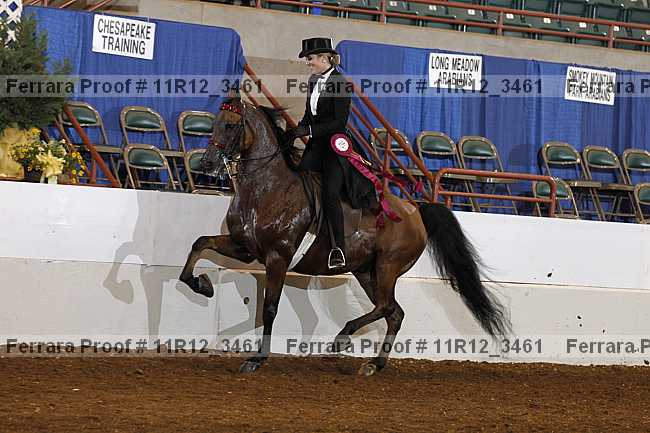Proof 11r12_3461