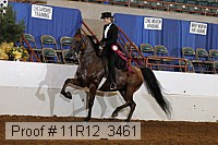 11r12_3461 proof
