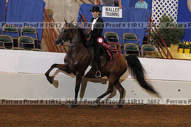 Proof 11r12_3462