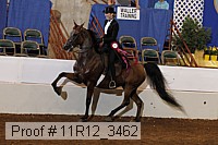 11r12_3462 proof