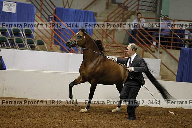 Proof 11r12_3464