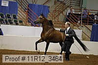11r12_3464 proof