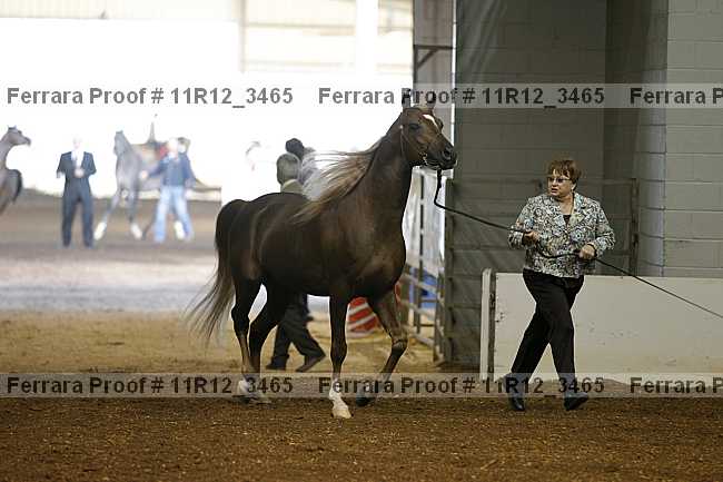 Proof 11r12_3465