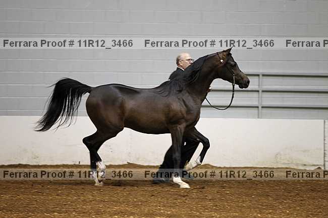 Proof 11r12_3466
