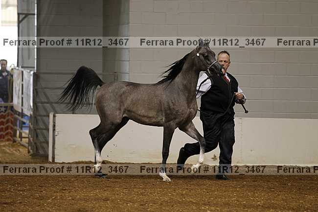 Proof 11r12_3467