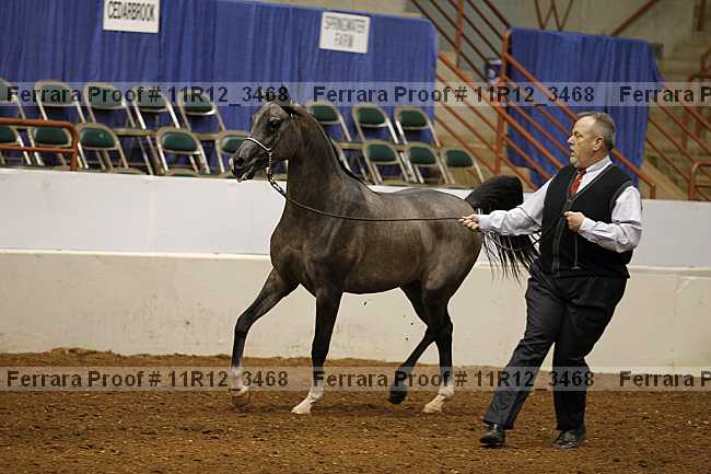 Proof 11r12_3468