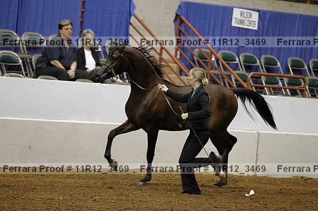 Proof 11r12_3469