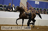 11r12_3469 proof