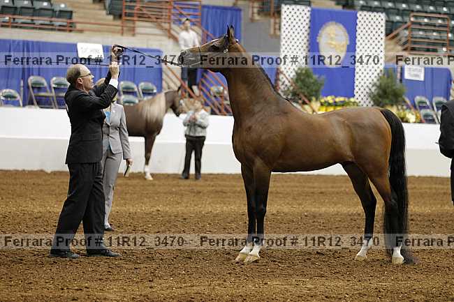 Proof 11r12_3470