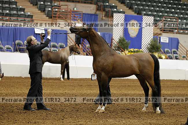 Proof 11r12_3472