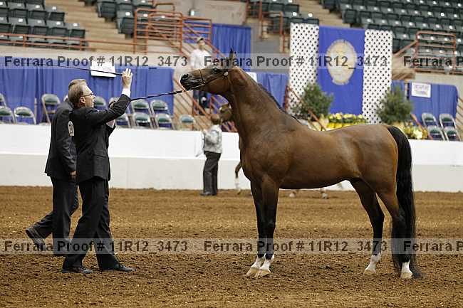 Proof 11r12_3473