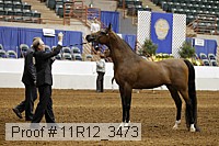 11r12_3473 proof
