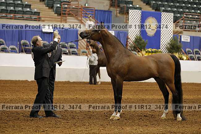 Proof 11r12_3474