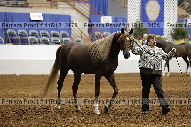 Proof 11r12_3475