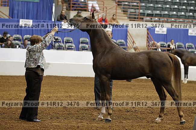 Proof 11r12_3476