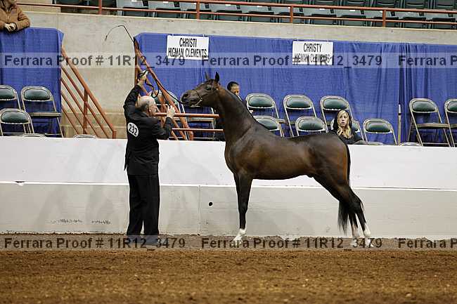 Proof 11r12_3479