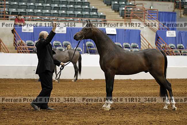 Proof 11r12_3484