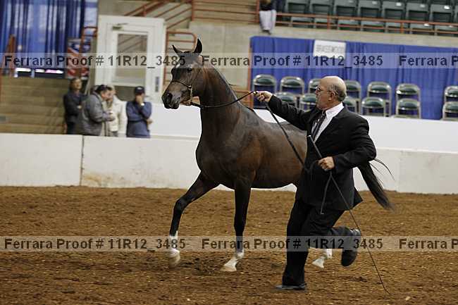 Proof 11r12_3485