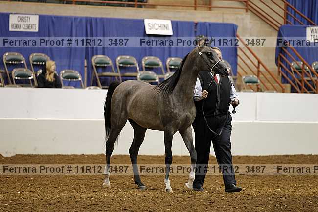 Proof 11r12_3487