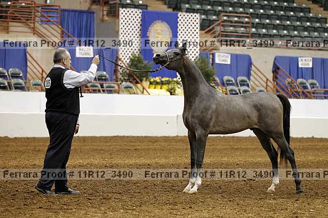 Proof 11r12_3490