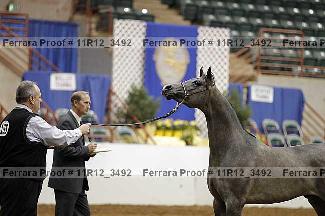 Proof 11r12_3492