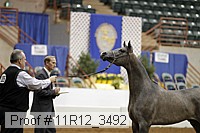 11r12_3492 proof