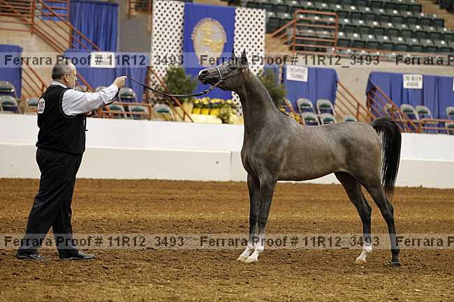 Proof 11r12_3493