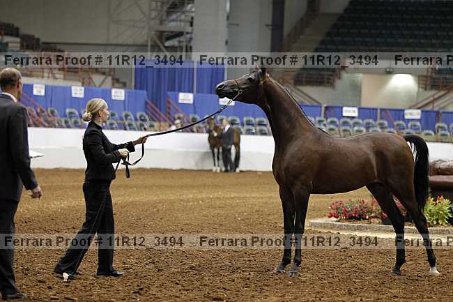 Proof 11r12_3494