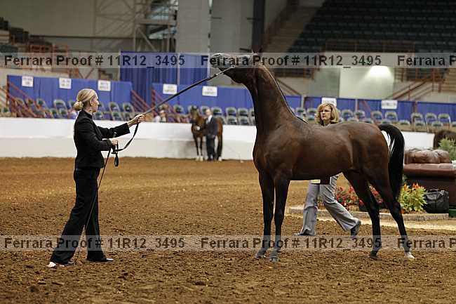 Proof 11r12_3495