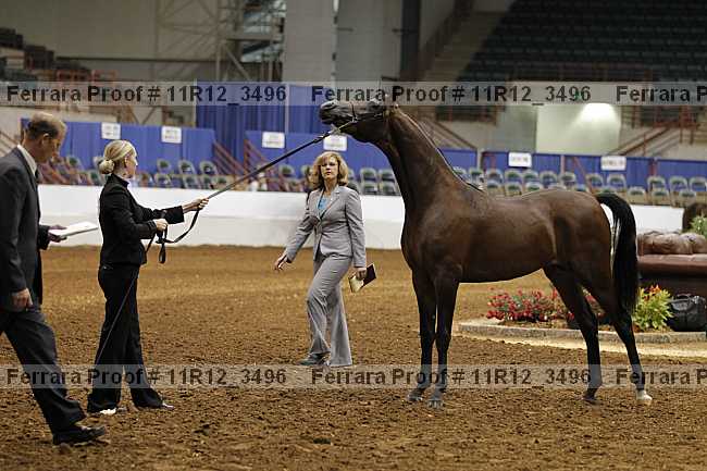 Proof 11r12_3496