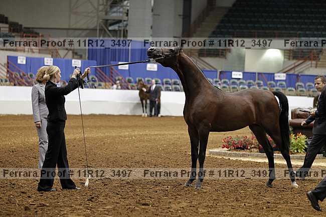 Proof 11r12_3497