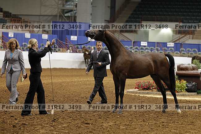 Proof 11r12_3498