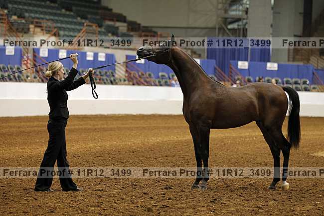 Proof 11r12_3499